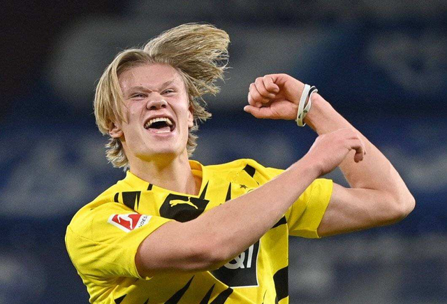 撸宠模拟器！《对马》导剪版新增多个可互动小动物！